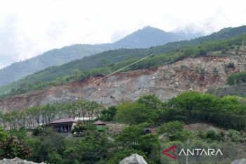 DLH Sulteng:  Perusahaan yang kelola lahan harus lestarikan lingkungan