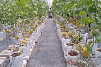BI dorong kemandirian ponpes melalui pengembangan bisnis