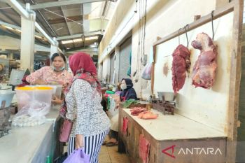 Harga daging sapi di Kulon Progo belum terdampak PMK