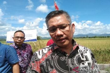 Wali Kota Kendari-BI Sultra harap generasi muda ikut bangun pertanian organik
