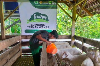 ACT Madiun bersama Global Qurban kelola ternak secara intensif cegah PMK