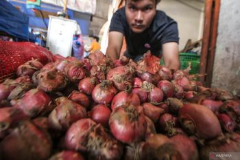 Produk lokal mahal, konsumen beralih ke bawang merah impor asal India