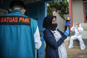 PMK tak menular ke manusia, ternak terinfeksi bergejala ringan bisa dikonsumsi