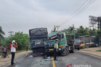 Dua truk laga kambing di Lintas Sorek Pelalawan, satu luka berat
