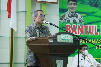 Bantul regenerasi petani untuk keberlanjutan sektor pertanian
