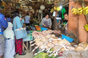 Puluhan pedagang Pasar Kahayan siap bertransaksi secara digital