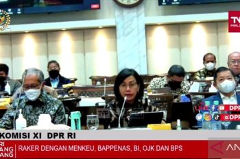 Sri Mulyani sebut pengetatan moneter yang cepat tak jinakkan inflasi