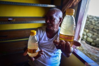 Polda Maluku siapkan 16.076 jus pala untuk pecahkan Rekor MURI