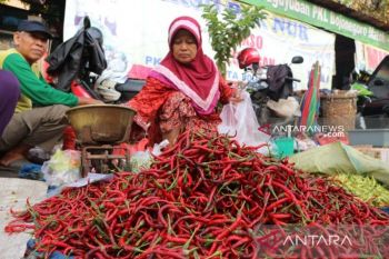 Harga cabai merah di Baturaja tembus Rp80.000 per kilogram