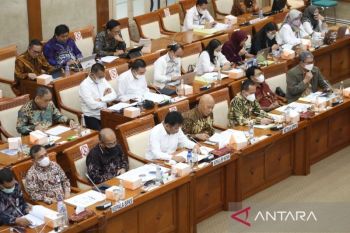 DPR RI setujui pagu belanja Badan Pengusahaan Batam sebesar Rp1,72 triliun