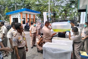 BKIPM Surabaya lepas ekspor perdana ikan koi ke Malaysia