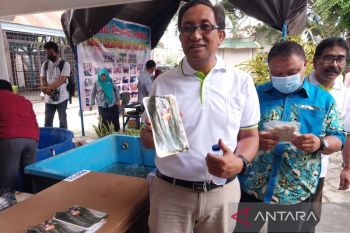 Sulteng  kembangkan budidaya rumput laut di Poso-Bangkep
