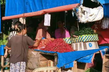 Harga cabai keriting di Pekanbau tembus Rp80 ribu