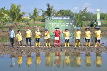 Peringati Hari Lingkungan Hidup, Perum Jasa Tirta I lestarikan Sungai Donan