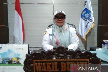 Wakil Bupati Wakatobi: Kehadiran Presiden beri dampak ekonomi