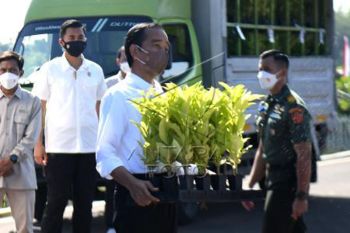 Presiden Jokowi resmikan Persemaian Rumpin di Bogor