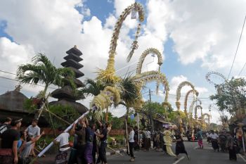 Warga Kerobokan gelar festival Penjor Galungan