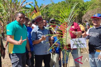 Pemprov Papua tanam 1.000 pohon sagu peringati Hari Lingkungan Hidup Dunia