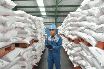 Pusri pastikan stok pupuk di Lampung cukup