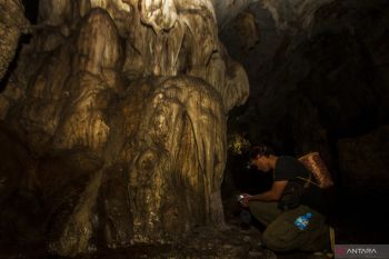 Eksistensi Gua Batu Hapu situs geologi purba