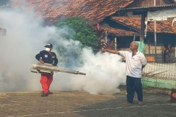 Dilakukan 45 pengasapan di Batang untuk cegah demam berdarah