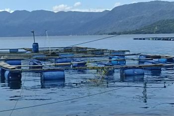 DPKP Agam catat 50 rumpon di Danau Maninjau