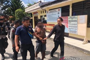 Polisi Jayawijaya tangkap tersangka pembunuh seorang ibu