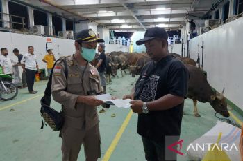 Pejabat Karantina Pertanian Tarakan Periksa Hewan Kurban Asal Sulawesi