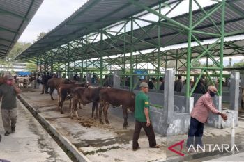 Kulon Progo tak berencana tutup Pasar Hewan Terpadu Pengasih