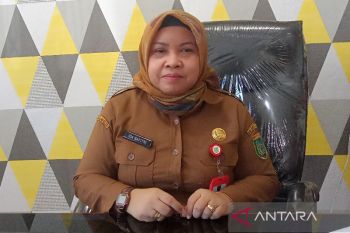DKPPP Barsel perketat pemeriksaan sapi dari luar daerah