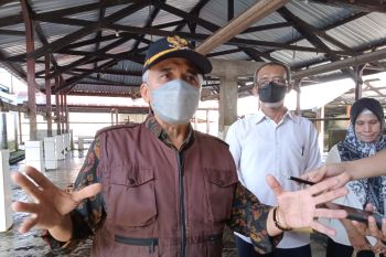 DPRD Mataram usulkan dana tak terduga bantuan obat PMK