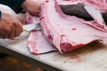 'Butcher' bisa jadi profesi yang menjanjikan