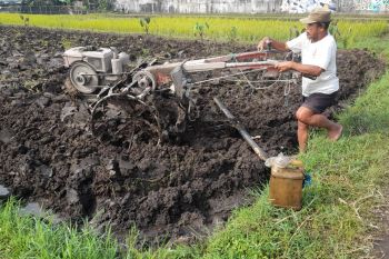 Petani di Sleman diminta segera ajukan permohonan pembelian biosolar