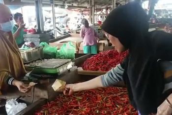 Pemkot Bandarlampung pastikan stok bahan pokok aman jelang Idul Adha