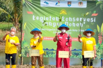 Pertamina Cilacap dukung pelestarian Sungai Donan