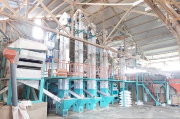 PLN Papua terus mendukung produktivitas sektor pertanian