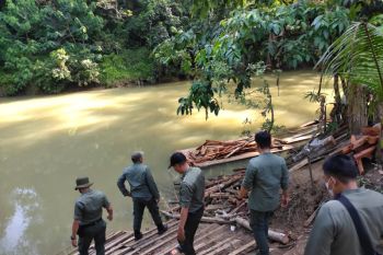 KPH Tabalong amankan kayu ilegal di Desa Binjai