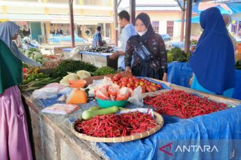 Harga cabai makin pedas, capai Rp110 ribu per kilogram