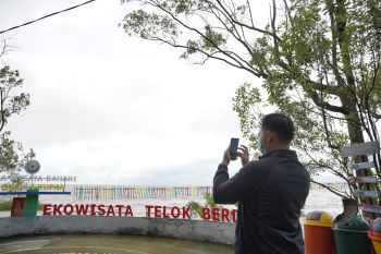 PLN tanam 10.000 pohon mangrove cegah abrasi di Pantai Telok Berdiri