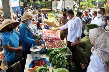 Harga cabai di Tanjungpinang tembus Rp120 ribu