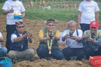 Kadin Jatim dorong perluasan pasar ekspor tembakau