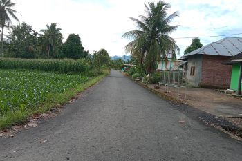 Pemkab Agam alokasikan Rp74,37 miliar bangun jalan