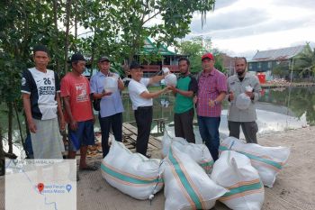 DKP Sulsel salurkan bantuan benur udang windu ke Maros