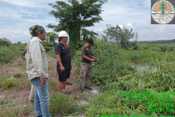 Niat cari ikan, pria di Pelalawan tewas dimangsa buaya