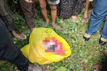 Tengah cari pepaya, warga ini dikagetkan temuan mayat bayi dalam kantong plastik