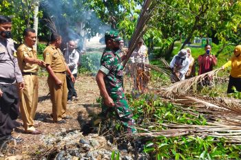 Dinas TPH Sulteng  musnahkan 2.000 benih durian musangking palsu