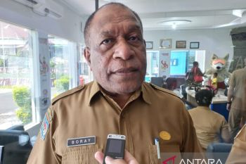 Pemprov Papua sedang mengembangkan PLTA di Kabupaten Jayawijaya