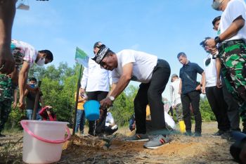 Gubernur Kaltara bakal berikan "reward" bagi penjaga kelestarian lingkungan