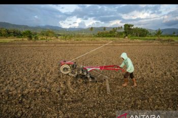 Pemda di Sulteng diharapkan lindungi seluruh petani jadi peserta BPJAMSOSTEK