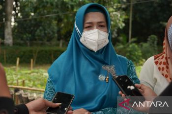Metro miliki rumah konsultasi permasalahan keluarga